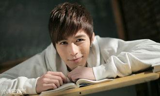 真心英雄资料,真心英雄的感人事迹与精神传承