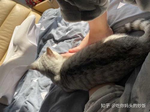 张是非图片,揭秘网络红人的崛起之路