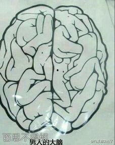 大脑门搞笑图片,搞笑大脑门图片集锦