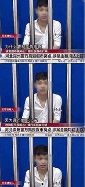 网红罪犯 东北,揭秘网络红人背后的黑暗面