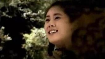 大旗英雄传花絮