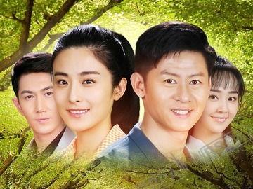 电视剧仨妈俩爸演员表,实力派明星齐聚一堂，演绎温馨家庭故事