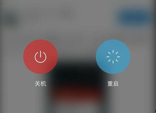 重启照片搞笑,笑点满满，照片里的搞笑瞬间