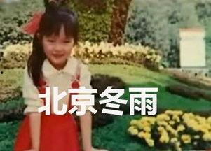 唐嫣小时候背景,从平凡童年到璀璨星途的蜕变之路